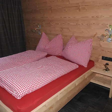 In Near Spieljoch Lift فغن